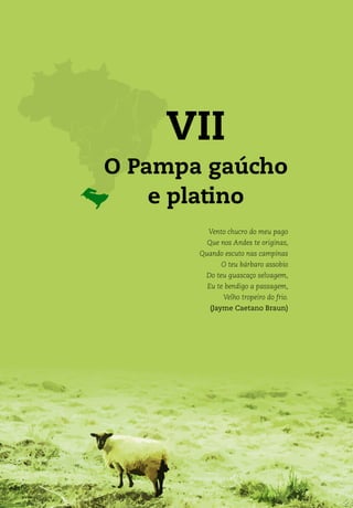 VII
O Pampa gaúcho
e platino
Vento chucro do meu pago
Que nos Andes te originas,
Quando escuto nas campinas
O teu bárbaro assobio
Do teu guascaço selvagem,
Eu te bendigo a passagem,
Velho tropeiro do frio.
(Jayme Caetano Braun)
 