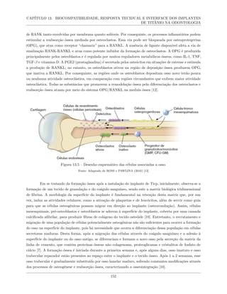 CAPÍTULO 13. BIOCOMPATIBILIDADE, RESPOSTA TECIDUAL E INTERFACE DOS IMPLANTES
DE TITÂNIO NA ODONTOLOGIA
de RANK tanto envolvidas por membrana quanto solúveis. Por conseguinte, os processos inflamatórios podem
estimular a reabsorção óssea mediada por osteoclastos. Essa via pode ser bloqueada por osteoprotegerina
(OPG), que atua como receptor “chamariz” para a RANKL. A ausência de ligante disponível afeta a via de
sinalização RANK-RANKL e atua como potente inibidor da formação de osteoclastos. A OPG é produzida
principalmente pelos osteoblastos e é regulada por muitos reguladores metabólicos ósseos, como IL-1, TNF,
TGF-β e vitamina D. A PGE2 (prostaglandina) é secretada pelos osteócitos em situações de estresse e estimula
a produção de RANKL; no entanto, os osteoblastos ativos na região de deposição óssea produzem OPG,
que inativa a RANKL. Por conseguinte, as regiões onde os osteoblastos depositam osso novo terão pouca
ou nenhuma atividade osteoclástica, em comparação com regiões circundantes que exibem maior atividade
osteoclástica. Todas as substâncias que promovem a remodelação óssea pela diferenciação dos osteoclastos e
reabsorção óssea atuam por meio do sistema OPG/RANKL na medula óssea [12].
Figura 13.5 – Desenho esquemático das células associadas a osso.
Fonte: Adaptado de ROSS e PAWLINA (2016) [12]
Em se tratando da formação óssea após a instalação do implante de Ticp, inicialmente, observa-se a
formação de um tecido de granulação e do coágulo sanguíneo, sendo este a matriz biológica tridimensional
de fibrina. A morfologia da superfície do implante é fundamental na retenção desta matriz que, por sua
vez, induz as atividades celulares, como a ativação de plaquetas e de leucócitos, além de servir como guia
para que as células osteogênicas possam migrar em direção ao implante (osteocondução). Assim, células
mesenquimais, pré-osteoblastos e osteoblastos se aderem à superfície do implante, coberta por uma camada
calcificada afibrilar, para produzir fibras de colágeno do tecido osteóide [10]. Entretanto, o recrutamento e
migração de uma população de células potencialmente osteogênicas não são suficientes para ocorrer a formação
do osso na superfície do implante, pois há necessidade que ocorra a diferenciação dessa população em células
secretoras maduras. Desta forma, após a migração das células através do coágulo sanguíneo e a adesão à
superfície do implante ou do osso antigo, se diferenciam e formam o novo osso pela secreção da matriz da
linha de cemento, que contém proteínas ósseas não colagenosas, proteoglicanas e cristalitos de fosfato de
cálcio [7]. A formação óssea é iniciada durante a primeira semana e, após alguns dias, osso imaturo e osso
trabecular reparador estão presentes no espaço entre o implante e o tecido ósseo. Após 1 a 2 semanas, esse
osso trabecular é gradualmente substituído por osso lamelar maduro, sofrendo constantes modificações através
dos processos de osteogênese e reabsorção óssea, caracterizando a osseointegração [10].
152
 