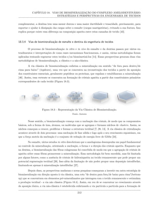 CAPÍTULO 18. VIAS DE BIOMINERALIZAÇÃO DO COMPLEXO AMELODENTINÁRIO:
ESTRATÉGIAS E PERSPECTIVAS DA ENGENHARIA DE TECIDOS
complementar, a dentina tem uma menor dureza e uma maior ductilidade e tenacidade, precisamente, para
suportar e ajudar à dissipação das cargas sobre o esmalte (cargas mastigatórias), evitando a sua fratura. Isso
explica porque existe essa diferença na composição apatita entre estas camadas de tecido [43].
18.3.4 Vias de biomineralização de esmalte e dentina da engenharia de tecidos
O processo de biomineralização in vitro e in vivo do esmalte e da dentina passou por vários en-
tendimentos e interpretações de como esses mecanismos funcionavam, e assim, várias metodologias foram
aplicadas tentando regenerar estes tecidos e/ou biomimetizá-los [14]. Essas perspectivas geraram duas vias
metodológicas de biomineralização, a clássica e a não-clássica.
A via clássica de biomineralização enfatiza a mineralização em sentido “de fora para dentro/de
cima para baixo” (topdown), uma vez que se concentra na reconstrução dos tecidos a partir da aposição
dos constituintes essenciais, geralmente peptídeos ou proteínas, que regulam e estabilizaram a mineralização
[46]. Assim, essa vertente se concentra na formação de cristais apatita a partir dos constituintes primários
correspondentes de cada tecido (Figura 18.3).
Figura 18.3 – Representação da Via Clássica de Biomineralização.
Fonte: Autores
Nesse sentido, a biomineralização começa com a nucleação dos cristais, de modo que os componentes
básicos, sob a forma de íons, átomos, ou moléculas que se agregam e formam núcleos de clusters. Assim, os
núcleos começam a crescer, proliferar e formar a estrutura tecidual [7, 28, 14]. A via clássica de cristalização
acontece através de dois processos: uma nucleação de fase sólida e logo após o seu crescimento espontâneo, em
que a força motriz da nucleação é o conjunto de redução de energia livre de Gibbs [34].
No esmalte, vários estudos in vitro descobriram que a amelogenina desempenha um papel fundamental
no controle da mineralização, orientando a nucleação, a forma e a direção dos cristais apatita. Enquanto que
na dentina, a biomineralização das fibras colagenosas foi concebida de modo em que a agregação de cristais de
apatita sobre essas fibras promovesse a mineralização. Essa metodologia foi bem sucedida, mas foi limitada
por alguns fatores, como a ausência de cristais de hidroxiapatita no tecido remanescente que pode propor um
potencial regeneração tecidual [28]. Isso além da limitação de não poder propor uma deposição intrafibrilar,
limitando-se apenas à mineralização interfibrilar [27].
Depois disso, as perspectivas mudaram e novas pesquisas começaram a investir em outra estratégia de
biomineralização em direção oposta à via clássica, uma rota "de dentro para fora/de baixo para cima"(bottom-
up) que se concentrava em elementos pré-mineralizantes que interagem com o tecido remanescente e estimulam
a produção tecidual - a via não clássica (Figura 18.4). Assim, em vez de se concentrar no crescimento através
da aposição iônica, a via não-clássica é estabelecida enfatizando a via partícula a partícula para a formação de
212
 