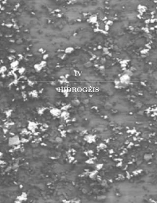 IV
HIDROGÉIS
 