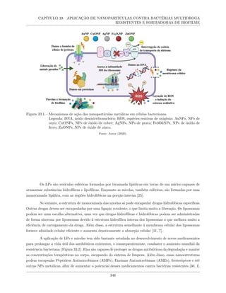 CAPÍTULO 33. APLICAÇÃO DE NANOPARTÍCULAS CONTRA BACTÉRIAS MULTIDROGA
RESISTENTES E FORMADORAS DE BIOFILME
Figura 33.1 – Mecanismos de ação das nanopartículas metálicas em células bacterianas.
Legenda: DNA, ácido desoxirribonucleico; ROS, espécies reativas de oxigênio; AuNPs, NPs de
ouro; CuONPs, NPs de óxido de cobre; AgNPs, NPs de prata; Fe3O4NPs, NPs de óxido de
ferro; ZnONPs, NPs de óxido de zinco.
Fonte: Autor (2020).
Os LPs são vesículas esféricas formadas por bicamada lipídicas em torno de um núcleo capazes de
armazenar substâncias hidrofílicas e lipofílicas. Enquanto as micelas, também esféricas, são formadas por uma
monocamada lipídica, com as regiões hidrofóbicas na porção interna [25].
No entanto, a estrutura de monocamada das micelas só pode encapsular drogas hidrofóbicas específicas.
Outras drogas devem ser encapsuladas por uma ligação covalente, o que limita muito a liberação. Os lipossomas
podem ser uma escolha alternativa, uma vez que drogas hidrofílicas e hidrofóbicas podem ser administradas
de forma síncrona por lipossomas devido à estrutura hidrofílica interna dos lipossomas o que melhora muito a
eficiência de carregamento da droga. Além disso, a estrutura semelhante à membrana celular dos lipossomas
fornece afinidade celular eficiente e aumenta drasticamente a absorção celular [11, 7].
A aplicação de LPs e micelas tem sido bastante estudada no desenvolvimento de novos medicamentos
para prolongar a vida útil dos antibióticos existentes, e consequentemente, combater o aumento mundial da
resistência bacteriana (Figura 33.2). Elas são capazes de proteger as drogas antibióticas da degradação e manter
as concentrações terapêuticas no corpo, escapando do sistema de limpeza. Além disso, essas nanoestruturas
podem encapsular Peptídeos Antimicrobianos (AMPs), Enzimas Antimicrobianas (AMEs), fitoterápicos e até
outras NPs metálicas, afim de aumentar o potencial desses medicamentos contra bactérias resistentes [30, 1].
346
 