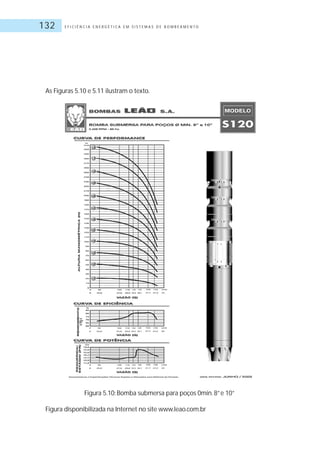 E F I C I Ê N C I A E N E R G É T I C A E M S I S T E M A S D E B O M B E A M E N T O132
Figura 5.10: Bomba submersa para poços 0min.8”e 10”
Figura disponibilizada na Internet no site www.leao.com.br
As Figuras 5.10 e 5.11 ilustram o texto.
 