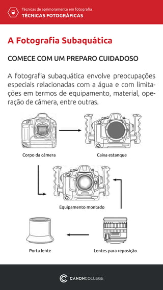 TÉCNICAS FOTOGRÁFICAS
Técnicas de aprimoramento em fotografia
A Fotografia Subaquática
COMECE COM UM PREPARO CUIDADOSO
A fotografia subaquática envolve preocupações
especiais relacionadas com a água e com limita-
ções em termos de equipamento, material, ope-
ração de câmera, entre outras.
Corpo da câmera Caixa estanque
Equipamento montado
Porta lente Lentes para reposição
 