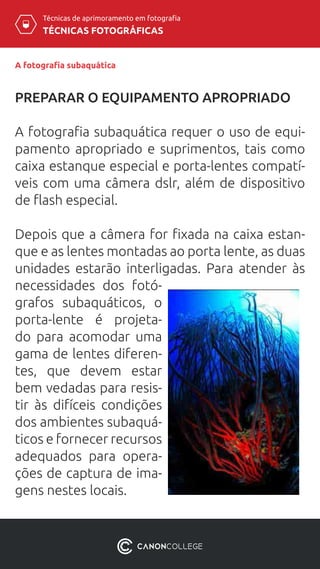 TÉCNICAS FOTOGRÁFICAS
Técnicas de aprimoramento em fotografia
A fotografia subaquática
PREPARAR O EQUIPAMENTO APROPRIADO
A fotografia subaquática requer o uso de equi-
pamento apropriado e suprimentos, tais como
caixa estanque especial e porta-lentes compatí-
veis com uma câmera dslr, além de dispositivo
de flash especial.
Depois que a câmera for fixada na caixa estan-
que e as lentes montadas ao porta lente, as duas
unidades estarão interligadas. Para atender às
necessidades dos fotó-
grafos subaquáticos, o
porta-lente é projeta-
do para acomodar uma
gama de lentes diferen-
tes, que devem estar
bem vedadas para resis-
tir às difíceis condições
dos ambientes subaquá-
ticos e fornecer recursos
adequados para opera-
ções de captura de ima-
gens nestes locais.
 