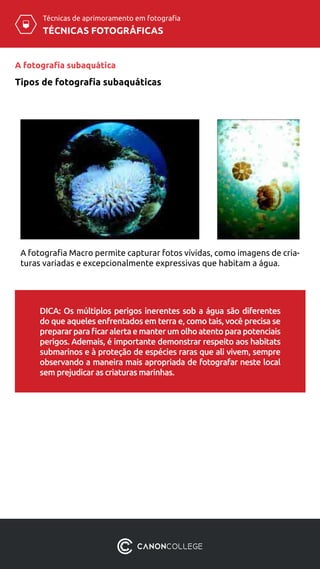TÉCNICAS FOTOGRÁFICAS
Técnicas de aprimoramento em fotografia
A fotografia Macro permite capturar fotos vívidas, como imagens de cria-
turas variadas e excepcionalmente expressivas que habitam a água.
DICA: Os múltiplos perigos inerentes sob a água são diferentes
do que aqueles enfrentados em terra e, como tais, você precisa se
prepararparaficaralertaemanterumolhoatentoparapotenciais
perigos. Ademais, é importante demonstrar respeito aos habitats
submarinos e à proteção de espécies raras que ali vivem, sempre
observando a maneira mais apropriada de fotografar neste local
sem prejudicar as criaturas marinhas.
A fotografia subaquática
Tipos de fotografia subaquáticas
 