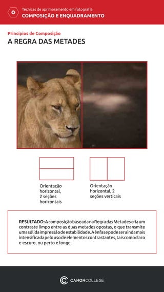 COMPOSIÇÃO E ENQUADRAMENTO
Técnicas de aprimoramento em fotografia
Princípios de Composição
Orientação
horizontal,
2 seções
horizontais
Orientação
horizontal, 2
seções verticais
RESULTADO:AcomposiçãobaseadanaRegradasMetadescriaum
contraste limpo entre as duas metades opostas, o que transmite
umasólidaimpressãodeestabilidade.Aênfasepodeseraindamais
intensificadapelousodeelementoscontrastantes,taiscomoclaro
e escuro, ou perto e longe.
A REGRA DAS METADES
 