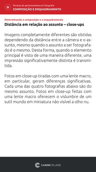 COMPOSIÇÃO E ENQUADRAMENTO
Técnicas de aprimoramento em fotografia
Imagens completamente diferentes são obtidas
dependendo da distância entre a câmera e o as-
sunto, mesmo quando o assunto a ser fotografa-
do é o mesmo. Desta forma, quando o elemento
principal é visto de uma maneira diferente, uma
impressão significativamente distinta é transmi-
tida.
Fotos em close-up tiradas com uma lente macro,
em particular, geram diferenças significativas.
Cada uma das quatro fotografias abaixo são do
mesmo assunto. Fotos em close-up feitas com
uma lente macro oferecem o vislumbre de um
sutil mundo em miniatura não visível a olho nu.
Distância em relação ao assunto – close-ups
Determinando a composição e o enquadramento
 
