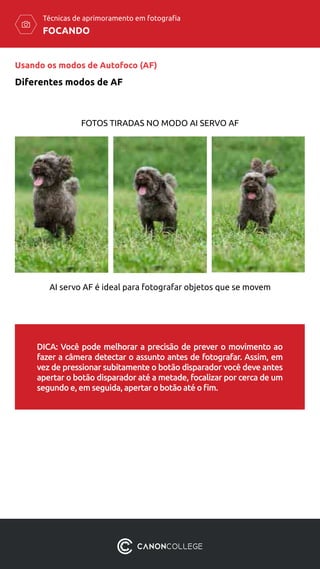FOCANDO
Técnicas de aprimoramento em fotografia
Usando os modos de Autofoco (AF)
Diferentes modos de AF
FOTOS TIRADAS NO MODO AI SERVO AF
AI servo AF é ideal para fotografar objetos que se movem
DICA: Você pode melhorar a precisão de prever o movimento ao
fazer a câmera detectar o assunto antes de fotografar. Assim, em
vez de pressionar subitamente o botão disparador você deve antes
apertar o botão disparador até a metade, focalizar por cerca de um
segundo e, em seguida, apertar o botão até o fim.
 