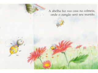 Livro casinhas de morar