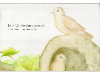 Livro casinhas de morar