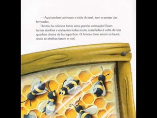 Livro ciclo do mel