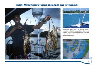 39 
Búzios VII recupera forças nas águas das Grenadines 
Depois de ter dado a volta a Sta. Lucia, St. Vincent e 
Grenadines, o Zé decide deixar o Búzios VII na marina 
Le Marin, Martinica. O Vanildo vai tomar conta dele, 
enquanto o Zé e o Bibas voltam para Cascais para 
passar o Natal e férias. 
 