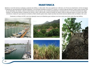 44 
MARTINICA 
Martinica é uma ilha francesa, localizada a sudoeste das Antilhas, no Mar Caribe. Tem uma superfície de 1.100 km2, com 70 km de comprimento e 30 km de largura. 
É habitada por aproximadamente 400.000 habitantes. A sua principal actividade económica é o turismo. O comércio agrícola declinou e agora muitos produtos têm 
de ser importados. No entanto, cultiva-se muita banana e cana de açúcar, que se destina principalmente, à produção de rum. É uma ilha montanhosa de origem 
vulcânica, com florestas tropicais compostas por árvores e fetos. A ilha recebe a visita de centenas de veleiros vindos de diferentes partes do mundo. Entre estes, 
encontra-se o Búzios VII, que repousou na marina Le Marin durante quatro meses, depois da árdua mas bonita travessia atlântica entre Las Palmas e Sta. Lucia. 
Finalmente, em Março de 2012, uma nova tipulação reune-se em Martinica para continuar com bons ventos para Norte, pelas Ilhas das Antilhas. 
 
