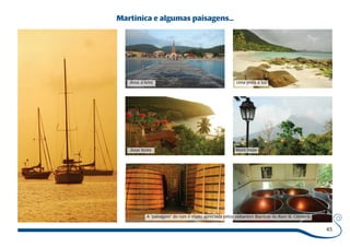 45 
Martinica e algumas paisagens... 
Anse d’Arlet Uma praia a Sul 
Anse Noire Mont Pelée 
A “paisagem” do rum é muito apreciada pelos visitantes! (Barricas do Rum St. Clément) 
 
