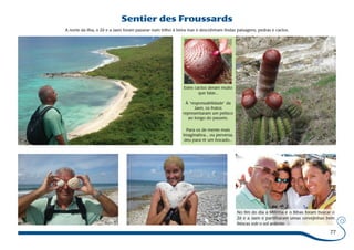 77 
Sentier des Froussards 
A norte da ilha, o Zé e a Jaen foram passear num trilho à beira mar e descobriram lindas paisagens, pedras e cactos. 
Estes cactos deram muito 
que falar... 
À “responsabilidade” da 
Jaen, os frutos 
representaram um petisco 
ao longo do passeio. 
Para os de mente mais 
imaginativa... ou perversa, 
deu para rir um bocado... 
No fim do dia a Milinha e o Bibas foram buscar o 
Zé e a Jaen e partilharam umas cervejinhas bem 
frescas sob o sol ardente. 
 