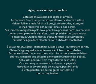Livro da água - Volume 2 - Água e vida