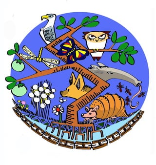 Livro da água - Volume 2 - Água e vida