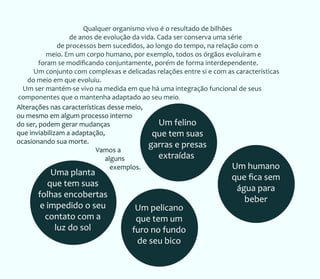 Livro da água - Volume 2 - Água e vida