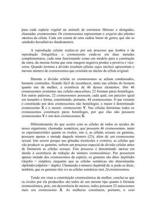 para  cada  espécie  vegetal  ou  animal)  de  estruturas  fibrosas  e  alongadas, 
chamadas cromossomos. Os cromossomos representam o arquivo das plantas 
mestras da célula. Cada um consta de uma cadeia linear de genes, que são as 
unidades hereditárias fundamentais. 
A  reprodução  celular  realiza­se  por  um  processo  que  lembra  o  da 
reprodução  fotográfica:  o  cromossomo  cinde­se  em  duas  metades 
complementares, cada uma funcionando como um modelo para a construção 
da outra, da mesma forma que uma imagem negativa produz a positiva e vice­ 
versa. Quando termina a divisão resultam células cujos núcleos apresentam o 
mesmo número de cromossomos que existiam no núcleo de célula original. 
Durante  a  divisão  celular  os  cromossomos  se  acham  condensados, 
bastante contraídos, ficando fácil de reconhecer, tanto nas células do homem 
quanto  nas  da  mulher,  a  existência  de  46  desses  elementos.  Dos  46 
cromossomos existentes nas células masculinas, 22 formam pares homólogos. 
Em outras palavras, 22 cromossomos possuem, cada qual, um parceiro igual 
em tamanho e forma, constituindo, portanto, 44 cromossomos. O par restante 
é constituído por dois cromossomos não homólogos: o  maior é determinado 
cromossomo  X  e  o  menor,  cromossomo  Y.  Nas  células  femininas  todos  os 
cromossomos  constituem  pares  homólogos,  por  que  elas  não  possuem 
cromossomos Y e sim dois cromossomos X. 
Diferentemente  do  que  ocorre  com  as  células  de  todos  os  tecidos  do 
nosso organismo, chamadas somáticas, que possuem 46 cromossomos, tanto 
os  espermatozóides  quanto  os  óvulos,  isto  é, as células sexuais ou  gametas, 
possuem  apenas  a  metade  daquele  número  (23),  além  de  um  cromossomo 
sexual. Isto ocorre porque nas gônadas (testículos e  ovários), as células que 
vão produzir os gametas, sofrem um processo especial de divisão celular antes 
de  formarem  as  células  sexuais.  Este  processo  é  denominado  meiose  em 
alusão  à  ocorrência  de  redução  do  número  cromossômico.  Por  possuírem 
apenas metade dos cromossomos da espécie, os gametas são ditos haplóides 
(haplós  =  simples),  enquanto  que  as  células  somáticas  são  denominadas 
diplóides (diploós = duplo). Chamando o número haplóide de n, pode­se dizer, 
também, que os gametas têm n e as células somáticas tem 2n cromossomos. 
Tendo em vista a constituição cromossômica da mulher, conclui­se que 
os óvulos por ela produzidos são todos de um mesmo tipo quanto à fórmula 
cromossômica, pois, em decorrência da meiose, todos possuem 22 autossomos 
mais  um  cromossomo  X.  As  mulheres  constituem,  portanto,  o  sexo
 