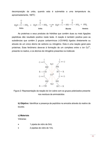 43
decomposição da uréia, quando esta é submetida a uma temperatura de,
aproximadamente, 180o
C:
As proteínas e seus produtos de hidrólise que contém duas ou mais ligações
peptídicas dão resultado positivo neste teste. A reação é também positiva para as
substâncias que contém 2 grupos carbamínicos (-CO-NH2) ligados diretamente ou
através de um único átomo de carbono ou nitrogênio. Esta é uma reação geral para
proteínas. Esse fenômeno deve-se à formação de um complexo entre o íon Cu2+
,
presente no reativo, e os átomos de nitrogênio presentes na molécula:
Figura 2: Representação da reação do íon cobre com os grupos polarizados presente
nos resíduos de aminoácidos
b) Objetivo: Identificar a presença de peptídios na amostra através do reativo de
biureto.
c) Materiais
Vidrarias:
• 1 pipeta de vidro de 5mL
• 2 pipetas de vidro de 1mL
 