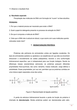 54
11.Observe o resultado final.
e) Resultado esperado
Precipitação das moléculas de DNA com formação de “nuvem” na fase alcoólica.
PESQUISA
1. Por que o material precisa ser macerado para isolar o DNA?
2. Qual o papel do detergente presente no processo de extração do DNA?
3. De que é composta a molécula de DNA?
4. Visto que o DNA não é solúvel em álcool, o que ocorre com suas moléculas quando
colocadas neste meio?
7. DESNATURAÇÃO PROTÉICA
Proteínas são polímeros de aminoácidos unidos por ligações covalentes. Os
tipos de aminoácidos (polares ou apolares) e as seqüências em que eles se encontram
direcionam o enovelamento da cadeia polipeptídica, levando a uma conformação
tridimensional específica, que é indispensável para sua função biológica. Devido às
diferenças nessas características estruturais, as proteínas possuem diferentes
propriedades físico-químicas, tais como: tamanho, massa molecular, carga elétrica e
solubilidade. Essas propriedades, por sua vez, permitem que as proteínas contidas em
uma mistura sejam separadas umas das outras.
Figura 4: Representação da ligação peptídica
A perda da estrutura tridimensional levando a perda da função da proteína é
chamada de desnaturação. Muitas proteínas podem ser desnaturadas pelo calor,
 