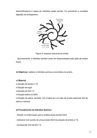 63
desramificadora) é capaz de hidrolisar essas pontes 1:6, permitindo a completa
digestão da amilopectina.
Figura 8: Aspecto estrutural do amido
Quimicamente, a hidrólise também pode ser desencadeada pela ação de ácidos
fortes.
b) Objetivos: realizar a hidrolise química e enzimática do amido.
c) Material
• Solução de amido a 1%
• Solução de lugol
• Solução de HCl 1:2
• Solução salina a 0,95%
• Solução de saliva: secretar 1ml d saliva em um tubo de ensaio adicionar 9ml de
saliva e misturar
d) Procedimento da Hidrolise Química
- Rotular um erlenmeyer para a análise ácida (amido+HCl)
- Adicionar com auxílio de uma proveta 30ml da solução de amido a 1%
- Acrescentar 3ml de HCl 1:2
 