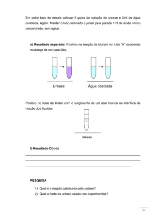 67
Em outro tubo de ensaio colocar 4 gotas de solução de urease e 2ml de água
destilada. Agitar. Manter o tubo inclinado e juntar pela parede 1ml de ácido nítrico
concentrado, sem agitar.
e) Resultado esperado: Positivo na reação de biureto no tubo “A” ocorrendo
mudança de cor para lilás.
Positivo no teste de Heller com o surgimento de um anel branco na interface de
reação dos líquidos
f) Resultado Obtido
__________________________________________________________________
__________________________________________________________________
_____________________________________________________________
PESQUISA
1) Qual é a reação catalisada pela uréase?
2) Qual a fonte da uréase usada nos experimentos?
Urease Água destilada
Urease
 