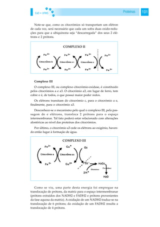 EaD • UFMS 101Proteínas
Note-se que, como os citocrómios só transportam um elétron
de cada vez, será necessário que cada um sofra duas oxido-redu-
ções para que a ubiquinona seja “descarregada” dos seus 2 elé-
trons e 2 prótons.
Complexo III
O complexo III, ou complexo citocrómio-oxidase, é constituido
pelos citocrómios a e a3. O citocrómio a3, em lugar de ferro, tem
cobre e é, de todos, o que possui maior poder redox.
Os elétrons transitam do citocrómio c, para o citocrómio a e,
finalmente, para o citocrómio a3.
Desconhece-se o mecanismo pelo qual o complexo III, pela pas-
sagem de e elétrons, transloca 2 prótons para o espaço
intermembranar. Tal fato poderá estar relacionado com alterações
alostéricas ao nível das proteínas dos citocrómios.
Por último, o citocrómio a3 cede os elétrons ao oxigénio, haven-
do então lugar à formação de água.
Como se viu, uma parte desta energia foi empregue na
translocação de prótons, da matriz para o espaço intermembranar
(prótons extraídos dos NADH2 e FADH2 e prótons provenientes
da fase aquosa da matriz). A oxidação de um NADH2 traduz-se na
translocação de 6 prótons; da oxidação de um FADH2 resulta a
translocação de 4 prótons.
 