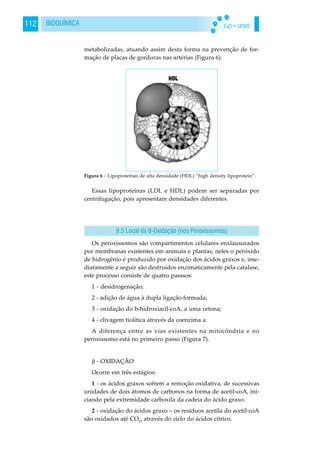 EaD • UFMS112 BIOQUÍMICA
metabolizadas, atuando assim desta forma na prevenção de for-
mação de placas de gorduras nas artérias (Figura 6).
Essas lipoproteínas (LDL e HDL) podem ser separadas por
centrifugação, pois apresentam densidades diferentes.
Os peroxissomos são compartimentos celulares enxlausurados
por membranas existentes em animais e plantas; neles o peróxido
de hidrogênio é produzido por oxidação dos ácidos graxos e, ime-
diatamente a seguir são destruídos enzimaticamente pela catalase,
este processo consiste de quatro passsos:
1 - desidrogenação;
2 - adição de água à dupla ligação formada;
3 - oxidação do b-hidroxiacil-coA, a uma cetona;
4 - clivagem tiolítica através da coenzima a.
A diferença entre as vias existentes na mitocôndria e no
peroxissomo está no primeiro passo (Figura 7).
- OXIDAÇÃO
Ocorre em três estágios:
1 - os ácidos graxos sofrem a remoção oxidativa, de sucessivas
unidades de dois átomos de carbonos na forma de acetil-coA, ini-
ciando pela extremidade carboxila da cadeia do ácido graxo.
2 - oxidação do ácidos graxo – os resíduos acetila do acetil-coA
são oxidados até CO2
, através do ciclo do ácidos cítrico.
Figura 6 - Lipoproteínas de alta densidade (HDL) “high density lipoprotein”.
9.5 Local da B-Oxidação (nos Peroxissomos)
 