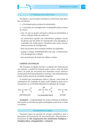 EaD • UFMS 115Metabolismo de Lipídeos
No fígado, o acil-coA graxo formado no citosol tem duas gran-
des vias abertas:
1 - a -oxidação pelas enzimas da mitocôndria.
2 - a conversão em triacilgliceróis e fosfolipídios pelas enzimas
do citosol.
- uma vez que os grupos acil-graxos entram na mitocôndria, é
certa a oxidação deste até acetil-coA.
- um animal bem suprido com carboidratos, qualquer excesso
de glicose que não pode ser armazenado como glicogênio, é
convertido em ácidos graxos citosólicos para serem armaze-
nados na forma de triacilgliceróis.
- duas das enzimas da b-oxidação também são reguladas:
- quando a relação [NADH]/[NAD+
] está alta, a b-hidroxiacil-
coA desidrogenase é inibida.
- alta concentração de acetil-coA inibem a tiolase.
CORPOS CETONICOS
São formados no fígado; durante a oxidação dos ácidos graxos
nos animais, o acetil-CoA formado pode ir para o ciclo do ácido
cítrico, ou pode ser convertido nos chamados corpos cetônicos
(acetoacetato, D-b-hidroxibutirato e acetona), e são exportados para
outros tecidos através da circulação sangüínea.
O cérebro que normalmente utiliza a glicose, como fonte de
combustível, em condições de fome, pode adaptar-se para usar o
acetoacetato ou o D-b-hidroxibutirato na obtenção de energia.
Anomalias - a superprodução de corpos cetônicos no diabetes,
não tratado ou durante um jejum prolongado, pode levar à cetose
e à acidose.
Passamos agora da geração de energia metabólica, para a
biossíntese de precursores de macromoléculas. Discutiremos a
biossíntese de três componentes das membramas biológicas –
fosfoglicerídeos, esfingolipídios e colesterol.
9.7 Regulação dos Ácidos Graxos
9.8 Biossíntese de Lipídios
 