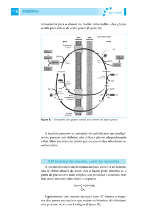EaD • UFMS118 BIOQUÍMICA
mitocôndria para o citosol, na matriz mitocondrial, dos grupos
acetila para síntese de ácido graxos (Figura 13).
A insulina promove a conversão de carboidratos em triacilgli-
cerois, pessoas com diabetes, não utiliza a glicose adequadamente
e têm falhas em sintetizar ácidos graxos a partir de carboidratos ou
aminoácidos.
O colesterol é essencial em muitos animais, inclusive no homem,
não se obtém através da dieta, mas o fígado pode sintetiza-lo, a
partir de precursores mais simples, seu precursor é o acetato, mas
tem como intermediário chave o isopreno.
Experimentos com acetato marcado com 14
C fornece o esque-
ma dos passos enzimáticos que ocorre na biossínte do colesterol,
este processo ocorre em 4 estágios (Figura 14).
9.10 Biossíntese dos Esteróides, a partir dos Isoprenóides
Figura 13 - Transporte dos grupos acetila para síntese de ácido graxos.
 