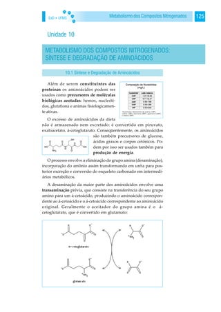 EaD • UFMS 125Metabolismo dos Compostos Nitrogenados
Unidade 10
METABOLISMO DOS COMPOSTOS NITROGENADOS:
SÍNTESE E DEGRADAÇÃO DE AMINOÁCIDOS
Além de serem constituintes das
proteínas os aminoácidos podem ser
usados como precursores de moléculas
biológicas azotadas: hemos, nucleóti-
dos, glutationa e animas fisiologicamen-
te ativas.
O excesso de aminoácidos da dieta
não é armazenado nem excretado: é convertido em piruvato,
oxaloacetato, á-cetoglutarato. Conseqüentemente, os aminoácidos
são também precursores de glucose,
ácidos graxos e corpos cetónicos. Po-
dem por isso ser usados também para
produção de energia.
O processo envolve a eliminação do grupo amina (desaminação),
incorporação do amônio assim transformando em uréia para pos-
terior excreção e conversão do esqueleto carbonado em intermedi-
ários metabólicos.
A desaminação da maior parte dos aminoácidos envolve uma
transaminação prévia, que consiste na transferência do seu grupo
amino para um á-cetoácido, produzindo o aminoácido correspon-
dente ao á-cetoácido e o á-cetoácido correspondente ao aminoácido
original. Geralmente o aceitador do grupo amina é o á-
cetoglutarato, que é convertido em glutamato:
10.1 Síntese e Degradação de Aminoácidos
 