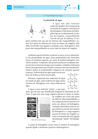 EaD • UFMS14 BIOQUÍMICA
A polaridade da água
A água tem uma estrutura
molecular simples. Ela é composta de
um átomo de oxigênio e dois átomos
de hidrogênio. Cada átomo de hidro-
gênio liga-se covalentemente ao áto-
mo de oxigênio, compartilhando
com ele um par de elétrons. O oxi-
gênio também tem um par de elétrons não compartilhados. As-
sim, há 4 pares de elétrons em torno do átomo de oxigênio, dois
deles envolvidos nas ligações covalentes com o hidrogênio e dois
pares não-compartilhados no outro lado do átomo de oxigênio.
Ambiente aquoso terrestre conduziu os seres vivos a utilizarem-
se das propriedades da água. Essas propriedades são: Interações
fracas em sistemas aquosos, por meio de pontes hidrogênio com
solutos polares. Compostos não polares produzem mudanças des-
favoráveis na estrutura da água, por exemplo, os lipídeos. Interações
fracas são importantes para função e estrutura das macromoléculas.
Solutos afetam as propriedades coligativas de soluções aquosas
(osmose). A dissociação da água pode ocorrer por
meio de ácidos ou bases fracas (pH).
Estrutura organizada das moléculas de água
no estado de gelo, cada molécula de água forma
4 pontes de hidrogênio com outra molécula de
água.
A água é uma molécula “polar”, o que quer
dizer que ela tem uma distribuição desigual da densidade de elé-
trons. A água tem uma carga negativa parcial ( -) junto ao átomo
de oxigênio por causa dos pares
de elétrons nãocompartilhados, e
tem cargas positivas parciais ( +)
junto aos átomos de hidrogênio.
A atração eletrostática entre as car-
gas positivas parciais dos átomos
de hidrogênio e a carga negativa
parcial do átomo de oxigênio re-
sulta na formação de uma ligação
denominada “ponte” de hidrogê-
nio.
A ponte de hidrogênio ocorre entre os átomos de hidrogênio
quando ligado a elementos químicos eletronegativos.
1.2 Propriedades da Água
 