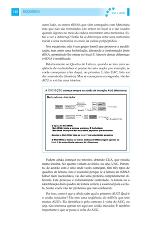 EaD • UFMS148 BIOQUÍMICA
outro lado, os outros tRNA’s que vêm carregados com Metionina
mas que não são formilados vão entrar no local A e são usados
quando algures no meio da cadeia encontram uma metionina. Es-
tão a ver a diferença? Então há aí diferenças entre uma metionina
inicial e uma metionina no meio da cadeia polipeptídica.
Nos eucariotas, não é um grupo formil que promove a modifi-
cação, mas antes uma fosforilação, alterando a conformação deste
tRNA, permitindo-lhe entrar no local P. Através destas diferenças
o tRNA é modificado.
Relativamente ao Quadro de Leitura, quando se tem uma se-
qüência de nucleotídeos é preciso ter esta noção: por exemplo, se
vocês começarem a ler daqui, no primeiro 1, têm UAC. Isto vai
dar aminoácido (tirosina). Mas se começarem no segundo, vão ler
ACU, e vai dar uma trionina.
Podem ainda começar no terceiro, obtendo CUA, que resulta
numa leucina, No quarto, voltam ao início, ou seja, UAC. Portan-
to, de acordo com o sítio onde vocês começam, têm três tipos de
quadros de leitura. Isto é essencial porque se a leitura do mRNA
falhar num nucleotídeo, vai dar uma proteína completamente di-
ferente. Este processo é extremamente controlado. A leitura ou a
identificação dum quadro de leitura correto é essencial para a célu-
la, Senão vocês vão ter proteínas que não conhecem.
Por isso, como é que a célula sabe qual o primeiro AUG? Qual é
o codão iniciador? Ela tem uma seqüência do mRNA que tem
muitos AUG’s. Ela identifica-o pelo contexto à volta do AUG, ou
seja, não interessa apenas ter aqui um codão iniciador. È também
importante o que se passa à volta do AUG.
Met codons - iniciador
 