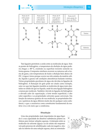 EaD • UFMS 15Introdução à Bioquímica
Tais ligações permitem a união entre as moléculas de água. Sem
as pontes de hidrogênio, a temperatura de ebulição da água pode-
ria chegar a -80º C, existindo na superfície terrestre somente na
forma gasosa. Compostos similares ocorrem na natureza sob a for-
ma de gases, com temperaturas de fusão e ebulição bem abaixo de
0ºC. A água é única porque ocorre nos três estados da matéria sóli-
do, líquido e gasoso sob condições atmosféricas bastante restritas.
Várias propriedades peculiares da água são devidas às ligações de
hidrogênio. A flutuação do gelo pode ser citada como exemplo,
uma vez que tais ligações mantêm as moléculas de água mais afas-
tadas no sólido do que no líquido, onde há uma ligação hidrogênio
a menos por molécula. Também é devido às ligações de hidrogênio
o elevado calor de vaporização, a forte tensão superficial, o alto
calor específico e as propriedades solventes quase universais. Em
função da natureza química de sua molécula, as propriedades físi-
cas e químicas da água diferem muito das de qualquer outra subs-
tância, o que a caracteriza como constituinte fundamental da ma-
téria viva e do meio que a condiciona.
Dissolução
Uma das propriedades mais importantes da água líqui-
da é a sua capacidade de dissolver substâncias polares ou
iônicas para formar soluções aquosas. A interação entre as
moléculas do solvente (água) e as do soluto são responsá-
veis pelo processo de solubilização: cada íon negativo, situ-
ado no interior de uma solução aquosa, atrai as extremida-
 