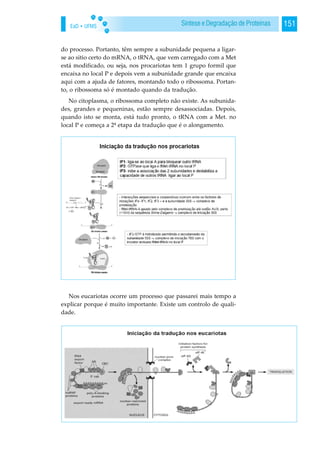 EaD • UFMS 151Síntese e Degradação de Proteínas
do processo. Portanto, têm sempre a subunidade pequena a ligar-
se ao sitio certo do mRNA, o tRNA, que vem carregado com a Met
está modificado, ou seja, nos procariotas tem 1 grupo formil que
encaixa no local P e depois vem a subunidade grande que encaixa
aqui com a ajuda de fatores, montando todo o ribossoma. Portan-
to, o ribossoma só é montado quando da tradução.
No citoplasma, o ribossoma completo não existe. As subunida-
des, grandes e pequeninas, estão sempre desassociadas. Depois,
quando isto se monta, está tudo pronto, o tRNA com a Met. no
local P e começa a 2ª etapa da tradução que é o alongamento.
Nos eucariotas ocorre um processo que passarei mais tempo a
explicar porque é muito importante. Existe um controlo de quali-
dade.
 