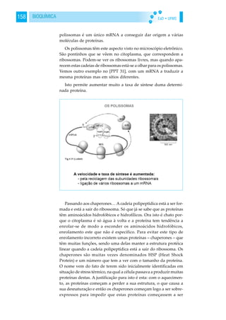 EaD • UFMS158 BIOQUÍMICA
polissomas é um único mRNA a conseguir dar origem a várias
moléculas de proteínas.
Os polissomas têm este aspecto visto no microscópio eletrônico.
São pontinhos que se vêem no citoplasma, que correspondem a
ribossomas. Podem-se ver os ribossomas livres, mas quando apa-
recem estas cadeias de ribossomas está-se a olhar para os polissomas.
Vemos outro exemplo no [PPT 31], com um mRNA a traduzir a
mesma proteínas mas em sítios diferentes.
Isto permite aumentar muito a taxa de síntese duma determi-
nada proteína.
Passando aos chaperones… A cadeia polipeptídica está a ser for-
mada e está a sair do ribossoma. Só que já se sabe que as proteínas
têm aminoácidos hidrofóbicos e hidrofílicos. Ora isto é chato por-
que o citoplasma é só água à volta e a proteína tem tendência a
enrolar-se de modo a esconder os aminoácidos hidrofóbicos,
enrolamento este que não é específico. Para evitar este tipo de
enrolamento incorreto existem umas proteínas – chaperones – que
têm muitas funções, sendo uma delas manter a estrutura protéica
linear quando a cadeia polipeptídica está a sair do ribossoma. Os
chaperones são muitas vezes denominados HSP (Heat Shock
Protein) e um número que tem a ver com o tamanho da proteína.
O nome vem do fato de terem sido inicialmente identificadas em
situação de stress térmico, na qual a célula passava a produzir muitas
proteínas destas. A justificação para isto é esta: com o aquecimen-
to, as proteínas começam a perder a sua estrutura, o que causa a
sua desnaturação e então os chaperones começam logo a ser sobre-
expressos para impedir que estas proteínas começassem a ser
 