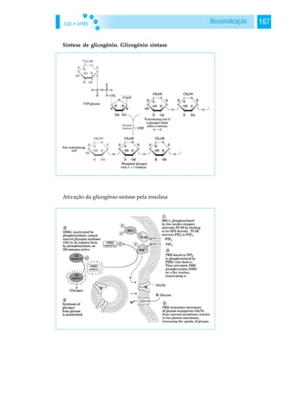 EaD • UFMS 167Biossinalização
Síntese de glicogênio. Glicogênio sintase
Ativação da glicogênio sintase pela insulina
 