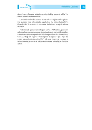 EaD • UFMS 189Membranas Celulares
citosol ou o efluxo do retículo ou mitocôndria, aumenta a [Ca++
] e
desencadeia a resposta celular.
Ca++
ativa uma variedade de enzimas Ca++
-dependente – prote-
ína quinase, cuja subunidade reguladora é a calmodulina/Ca++
.
Quando [Ca++
] aumenta, a enzima é fosforilada e regula várias
enzimas.
Fosforilase b quinase ativada pelo Ca++
e a NO sintase, possuem
calmodulina com subunidade. Uma isozima da nucleotídeo cíclico
fosfodiesterase que degrada o AMPc é dependente da calmodulina/
Ca++
. [AMPc], um segundo mensageiro, é regulado pela ação de
outro segundo mensageiro Ca++
; há uma conversa cruzada e
retroalimentação entre os vários sistemas de transdução de uma
célula.
 