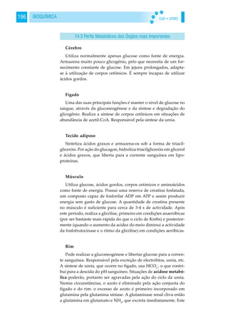 EaD • UFMS196 BIOQUÍMICA
Cérebro
Utiliza normalmente apenas glucose como fonte de energia.
Armazena muito pouco glicogénio, pelo que necessita de um for-
necimento constante de glucose. Em jejuns prolongados, adapta-
se à utilização de corpos cetônicos. É sempre incapaz de utilizar
ácidos gordos.
Fígado
Uma das suas principais funções é manter o nível de glucose no
sangue, através da gluconeogênese e da síntese e degradação do
glicogênio. Realiza a síntese de corpos cetônicos em situações de
abundância de acetil-CoA. Responsável pela síntese da ureia.
Tecido adiposo
Sintetiza ácidos graxos e armazena-os sob a forma de triacil-
gliceróis. Por ação do glucagon, hidroliza triacilgliceróis em glicerol
e ácidos graxos, que liberta para a corrente sanguínea em lipo-
proteínas.
Músculo
Utiliza glucose, ácidos gordos, corpos cetónicos e aminoácidos
como fonte de energia. Possui uma reserva de creatina fosfatada,
um composto capaz de fosforilar ADP em ATP e assim produzir
energia sem gasto de glucose. A quantidade de creatina presente
no músculo é suficiente para cerca de 3-4 s de actividade. Após
este período, realiza a glicólise, primeiro em condições anaeróbicas
(por ser bastante mais rápida do que o ciclo de Krebs) e posterior-
mente (quando o aumento da acidez do meio diminui a actividade
da fosfofrutocinase e o ritmo da glicólise) em condições aeróbicas.
Rim
Pode realizar a gluconeogénese e libertar glucose para a corren-
te sanguínea. Responsável pela excreção de electrólitos, ureia, etc.
A síntese de ureia, que ocorre no fígado, usa HCO3
-
, o que contri-
bui para a descida do pH sanguíneo. Situações de acidose metabó-
lica poderão, portanto ser agravadas pela ação do ciclo da ureia.
Nestas circunstâncias, o azoto é eliminado pela ação conjunta do
fígado e do rim: o excesso de azoto é primeiro incorporado em
glutamina pela glutamina sintase. A glutaminase renal cliva então
a glutamina em glutamato e NH3
, que excreta imediatamente. Este
14.3 Perfis Metabólicos dos Órgãos mais Importantes
 