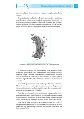 EaD • UFMS 207Tópicos em Bioquímica Aplicados a Biologia
plexo de golgi, o citoesqueleto e o retículo endoplasmático liso e
rugoso.
Entre as funções realizadas pelo citoplasma estão: o auxílio na
morfologia da célula, relacionada à consistência do citosol e o
armazenamento de substâncias indispensáveis à vida. Seu conteúdo
está em constante movimentação, caracterizado por ciclose, visivel-
mente analisado em células vegetais observadas ao microscópio.
O complexo de golgiense, ou conhecido pelas seguintes deno-
minações: aparelho de golgi, dictiossomo, golgiossomo ou com-
plexo de golgie, constitui uma organela citoplasmática típica de
células eucarióticas, com função fundamental de eliminação de
substâncias produzidas pela síntese celular através do processo de
secreção.
É formado por vesículas com morfologia de sacos achatados.
Além de promover maturação e armazenamento de proteínas
ribossomáticas, efetua também a distribuição das moléculas sinte-
tizadas e empacotadas nas vesículas.
Aderidas ao citoesqueleto as vesículas são transportadas no in-
terior da célula até a região basal da mebrana plasmática. A partir
desse instante a membrana da vesícula se funde à membrana da
célula, eliminando o conteúdo protéico para o meio extracelular.
Boa parte das vesículas transportadoras do retículo
endoplasmático rugoso (RER) são transportadas em direção ao com-
plexo de Golgi, passando por sínteses modificadas e enviadas aos
seus destinos finais.
O complexo de Golgi e o aspecto morfológico de sacos empilhados
 