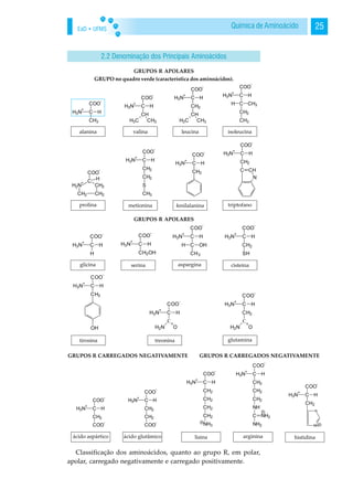 EaD • UFMS 25Química de Aminoácido
2.2 Denominação dos Principais Aminoácidos
GRUPOS R APOLARES
GRUPO no quadro verde (característica dos aminoácidos).
GRUPOS R APOLARES
GRUPOS R CARREGADOS NEGATIVAMENTE GRUPOS R CARREGADOS NEGATIVAMENTE
Classificação dos aminoácidos, quanto ao grupo R, em polar,
apolar, carregado negativamente e carregado positivamente.
 