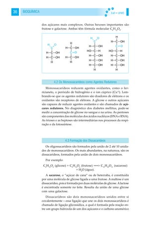 EaD • UFMS36 BIOQUÍMICA
dos açúcares mais complexos. Outras hexoses importantes são
frutose e galactose. Ambas têm fórmula molecular C6
H12
O6
.
Monossacarídeos reduzem agentes oxidantes, como o fer-
ricianeto, o peróxido de hidrogênio e o íon cúprico (Cu+2
). Lem-
brando-se que os agentes redutores são doadores de elétrons e os
oxidantes são receptores de elétrons. A glicose e outros açúcares
são capazes de reduzir agentes oxidantes e são chamados de açú-
cares redutores. No diagnóstico dos diabetes mellitus, pode-se
medir a concentração de glicose no sangue e na urina. As pentoses
são componentes das moléculas dos ácidos nucléicos (DNA e RNA).
As trioses e as heptoses são intermediárias nos processos da respi-
ração e da fotossíntese.
Os oligossacarídeos são formados pela união de 2 até 10 unida-
des de monossacarídeos. Os mais abundantes, na natureza, são os
dissacarídeos, formados pela união de dois monossacarídeos.
Por exemplo:
C6
H12
O6
(glicose) + C6
H12
O6
(frutose) ===> C12
H22
O11
(sacarose)
+ H2
O (água).
A sacarose, o “açúcar de cana” ou de beterraba, é constituída
por uma molécula de glicose ligada a uma frutose. A maltose é um
dissacarídeo, pois é formada por duas moléculas de glicose.Alactose
é encontrada somente no leite. Resulta da união de uma glicose
com uma galactose.
Dissacarídeos são dois monossacarídeos unidos entre si
covalentemente – essa ligação que une os dois monossacarídeos é
chamada de ligação glicossídica, a qual é formada pela reação en-
tre um grupo hidroxila de um dos açúcares e o carbono anomérico
4.2 Os Monossacarídeos como Agentes Redutores
4.3 Formação dos Dissacarídeos
 