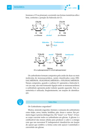 EaD • UFMS42 BIOQUÍMICA
furanose e C5 na piranose), ocorrendo nas formas isoméricas alfa e
beta, conforme a posição da hidroxila do C1.
Os carboidratos formam compostos pela união de duas ou mais
moléculas de monossacarídeos, sendo classificados como DIS-
SACARÍDEOS, OLIGOSSACARÍDEOS e POLISSACARÍDEOS.
Nesses compostos, quando o carbono C1 apresenta a hidroxila li-
vre (ou seja, não está formando ligação entre os monossacarídeos)
o carboidrato apresenta poder redutor quando aquecido. Esta ca-
racterística é utilizada, freqüentemente, em reações de identifica-
ção.
Os Carboidratos engordam?
Muitos, temendo engordar, limitam o consumo de carboidratos
como feijão, arroz, batata, lentilhas, pão, doces e outros. Em pri-
meiro lugar é preciso distingui-los. Há “maus” e os “bons”. O nos-
so corpo converte todos os carboidratos em glicose. A glicose é o
combustível das nossas células para produzir o calor e a energia
com que nos movemos! É indispensável classificá-los em função
do açúcar que contêm e a forma como este açúcar é assimilado e
convertido em glicose.
Saiba Mais
 