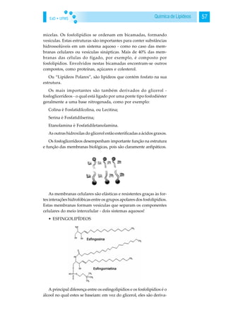 EaD • UFMS 57Química de Lipídeos
micelas. Os fosfolipídios se ordenam em bicamadas, formando
vesículas. Estas estruturas são importantes para conter substâncias
hidrossolúveis em um sistema aquoso - como no caso das mem-
branas celulares ou vesículas sinápticas. Mais de 40% das mem-
branas das células do fígado, por exemplo, é composto por
fosfolipídios. Envolvidos nestas bicamadas encontram-se outros
compostos, como proteínas, açúcares e colesterol.
Ou “Lipídeos Polares”, são lipídeos que contém fosfato na sua
estrutura.
Os mais importantes são também derivados do glicerol -
fosfoglicerídeos - o qual está ligado por uma ponte tipo fosfodiéster
geralmente a uma base nitrogenada, como por exemplo:
Colina è Fosfatidilcolina, ou Lecitina;
Serina è Fosfatidilserina;
Etanolamina è Fosfatidiletanolamina.
As outras hidroxilas do glicerol estão esterificadas a ácidos graxos.
Os fosfoglicerídeos desempenham importante função na estrutura
e função das membranas biológicas, pois são claramente anfipáticos.
As membranas celulares são elásticas e resistentes graças às for-
tes interações hidrofóbicas entre os grupos apolares dos fosfolipídios.
Estas membranas formam vesículas que separam os componentes
celulares do meio intercelular - dois sistemas aquosos!
• ESFINGOLIPÍDEOS
A principal diferença entre os esfingolipídios e os fosfolipídios é o
álcool no qual estes se baseiam: em vez do glicerol, eles são deriva-
 