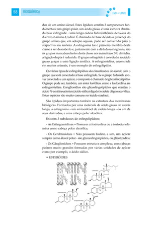 EaD • UFMS58 BIOQUÍMICA
dos de um amino álcool. Estes lipídeos contém 3 componentes fun-
damentais: um grupo polar, um ácido graxo, e uma estrutra chama-
da base esfingóide - uma longa cadeia hidrocarbônica derivada do
d-eritro-2-amino-1,3-diol. É chamado de base devido a presença do
grupo amino que, em solução aquosa, pode ser convertido para o
respectivo íon amônio. A esfingosina foi o primeiro membro desta
classe a ser descoberto e, juntamente com a di-hidroesfingosina, são
os grupos mais abundantes desta classe nos mamíferos. No di-hidro,
a ligação dupla é reduzida. O grupo esfingóide é conectado ao ácido
graxo graças a uma ligação amídica. A esfingomielina, encontrada
em muitos animais, é um exemplo de esfingolipídio.
Os vários tipos de esfingolipídios são classificados de acordo com o
grupo que está conectado à base esfingóide. Se o grupo hidroxila esti-
verconectadoaumaçúcar,ocompostoéchamadodeglicosfincolipídio.
O grupo pode ser, também, um éster fosfófico, como a fosfocolina, na
esfingomielina. Gangliosídios são glicosfingolipídios que contém o
ácidoN-acetilneurâmico(ácidosiálico)ligadoàcadeiaoligossacarídica.
Estas espécies são muito comuns no tecido cerebral.
São lipídeos importantes também na estrutura das membranas
biológicas. Formados por uma molécula de ácido graxo de cadeia
longa, a esfingosina - um aminoálcool de cadeia longa - ou um de
seus derivados, e uma cabeça polar alcoólica.
Existem 3 subclasses de esfingolipídeos:
- As Esfingomielinas = Possuem a fosfocolina ou a fosfoetanola-
mina como cabeça polar alcoólica;
- Os Cerebrosídeos = Não possuem fosfato, e sim, um açúcar
simples como álcool polar - são glicoesfingolipídios, ou glicolipídios;
- Os Gângliosídeos = Possuem estrutura complexa, com cabeças
polares muito grandes formadas por várias unidades de açúcar
como por exemplo, o ácido siálico.
• ESTERÓIDES
 