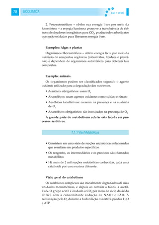 EaD • UFMS78 BIOQUÍMICA
2. Fotoautotróficos – obtêm sua energia livre por meio da
fotossíntese – a energia luminosa promove a transferência de elé-
trons de doadores inorgânicos para CO2
, produzindo carboidratos
que serão oxidados para liberarem energia livre.
Exemplos: Algas e plantas
Organismos Heterotróficos – obtêm energia livre por meio da
oxidação de compostos orgânicos (caboidratos, lipídeos e proteí-
nas) e dependem de organismos autotróficos para obterem tais
compostos.
Exemplo: animais.
Os organismos podem ser classificados segundo o agente
oxidante utilizado para a degradação dos nutrientes.
• Aeróbicos obrigatórios: usam O2
• Anaeróbicos: usam agentes oxidantes como sulfato e nitrato
• Aeróbicos facultativos: crescem na presença e na ausência
de O2
• Anaeróbicos obrigatórios: são intoxicados na presença de O2
A grande parte do metabolismo celular está focada em pro-
cessos aeróbicos.
• Consistem em uma série de reações enzimáticas relacionadas
que resultam em produtos específicos.
• Os reagentes, os intermediários e os produtos são chamados
metabólitos
• Há mais de 2 mil reações metabólicas conhecidas, cada uma
catalisada por uma enzima diferente.
Visão geral do catabolismo
Os catabólitos complexos são inicialmente degradados até suas
unidades monoméricas, e depois ao comum a todos, a acetil-
CoA. O grupo acetil é oxidado a CO2
por meio do ciclo do ácido
cítrico com a concomitante redução de NAD+ e FAD. A
reoxidação pelo O2
durante a fosforilação oxidativa produz H2
O
e ATP.
7.1.1 Vias Metabólicas
 