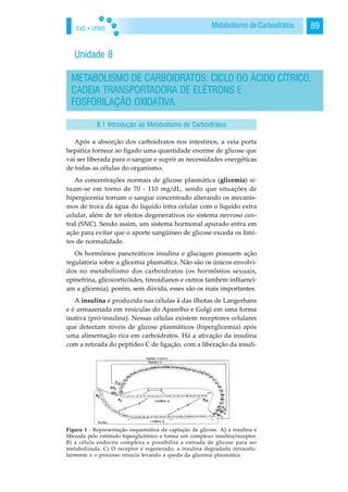 EaD • UFMS 89Metabolismo de Carboidratos
Unidade 8
Após a absorção dos carboidratos nos intestinos, a veia porta
hepática fornece ao fígado uma quantidade enorme de glicose que
vai ser liberada para o sangue e suprir as necessidades energéticas
de todas as células do organismo.
As concentrações normais de glicose plasmática (glicemia) si-
tuam-se em torno de 70 - 110 mg/dL, sendo que situações de
hipergicemia tornam o sangue concentrado alterando os mecanis-
mos de troca da água do líquido intra celular com o líquido extra
celular, além de ter efeitos degenerativos no sistema nervoso cen-
tral (SNC). Sendo assim, um sistema hormonal apurado entra em
ação para evitar que o aporte sangüíneo de glicose exceda os limi-
tes de normalidade.
Os hormônios pancreáticos insulina e glucagon possuem ação
regulatória sobre a glicemia plasmática. Não são os únicos envolvi-
dos no metabolismo dos carboidratos (os hormônios sexuais,
epinefrina, glicocorticóides, tireoidianos e outros também influenci-
am a glicemia), porém, sem dúvida, esses são os mais importantes.
A insulina é produzida nas células â das ilhotas de Langerhans
e é armazenada em vesículas do Aparelho e Golgi em uma forma
inativa (pró-insulina). Nessas células existem receptores celulares
que detectam níveis de glicose plasmáticos (hiperglicemia) após
uma alimentação rica em carboidratos. Há a ativação da insulina
com a retirada do peptídeo C de ligação, com a liberação da insuli-
METABOLISMO DE CARBOIDRATOS: CICLO DO ÁCIDO CÍTRICO,
CADEIA TRANSPORTADORA DE ELÉTRONS E
FOSFORILAÇÃO OXIDATIVA.
8.1 Introdução ao Metabolismo de Carboidratos
Figura 1 - Representação esquemática da captação de glicose. A) a insulina é
liberada pelo estímulo hiperglicêmico e forma um complexo insulina/receptor.
B) a célula endocita complexa e possibilita a entrada de glicose para ser
metabolizada. C) O receptor é regenerado, a insulina degradada intracelu-
larmente e o processo reinicia levando a queda da glicemia plasmática.
 