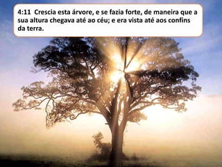 4:11 Crescia esta árvore, e se fazia forte, de maneira que a
sua altura chegava até ao céu; e era vista até aos confins
da terra.

 