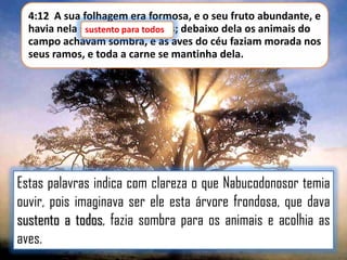 4:12 A sua folhagem era formosa, e o seu fruto abundante, e
havia nela sustento para todos debaixo dela os animais do
sustento para todos;
campo achavam sombra, e as aves do céu faziam morada nos
seus ramos, e toda a carne se mantinha dela.

Estas palavras indica com clareza o que Nabucodonosor temia
ouvir, pois imaginava ser ele esta árvore frondosa, que dava
sustento a todos, fazia sombra para os animais e acolhia as
aves.

 